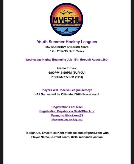 Youth summer hockey league